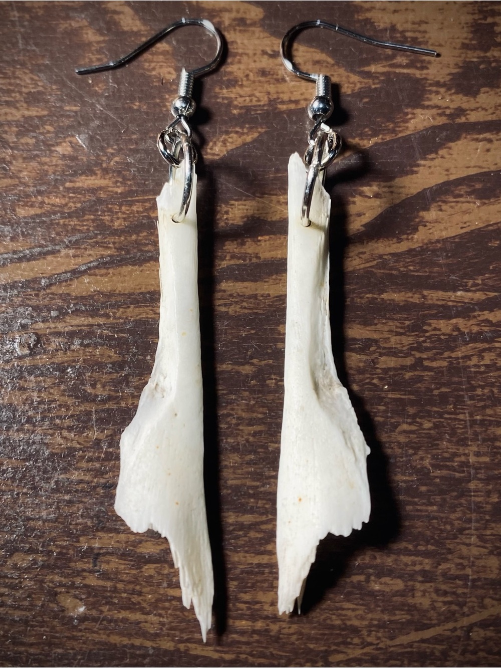 Possum skull fragments earrings